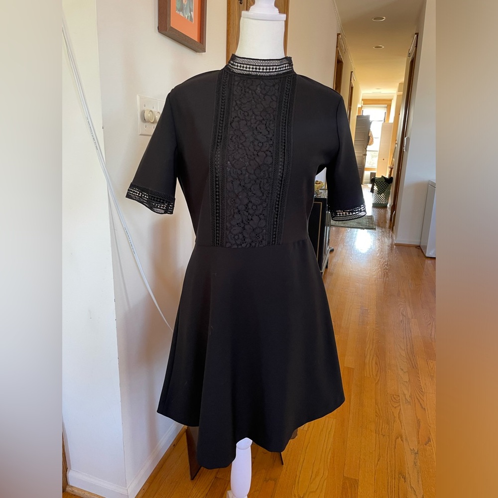 ZARA Mock Neck Lace Panel Mini Dress